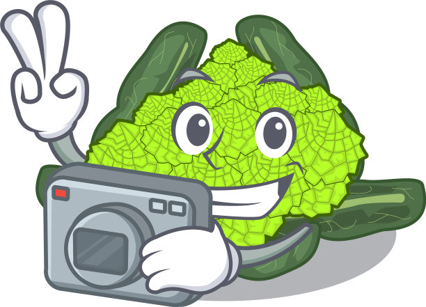 摄影师罗马花椰菜上面的表格卡通图片下载