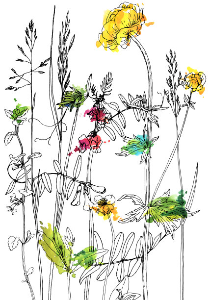 一套水墨画花草图片下载