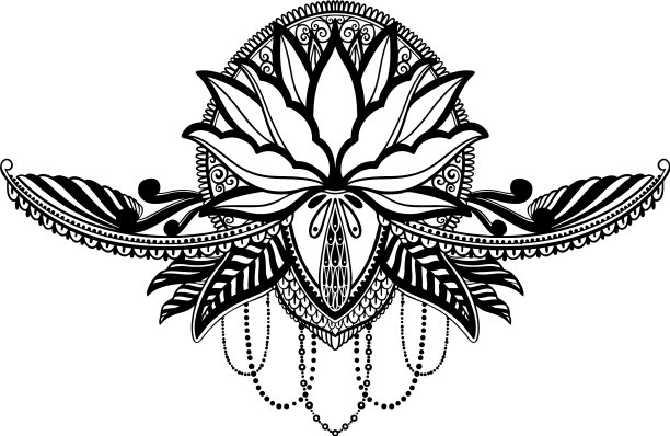 荷花民族象征黑中带白图片下载