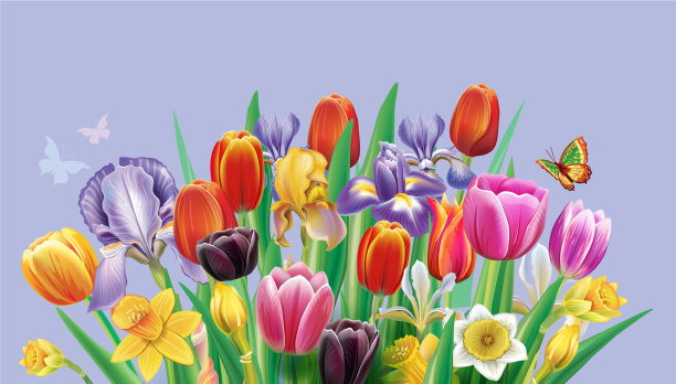 与多色郁金香花排列图片下载