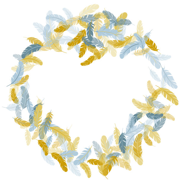 详细的宏伟羽毛上的白色设计图片下载