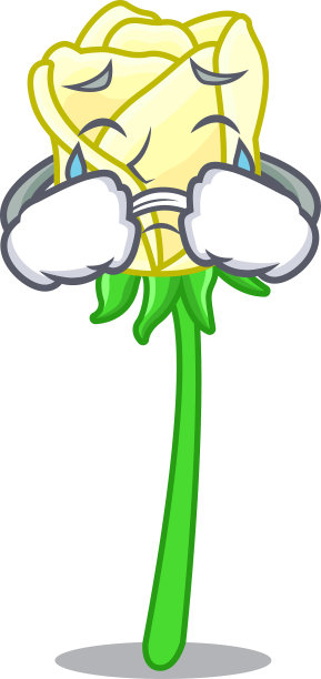 哭白玫瑰在人物桌上图片下载