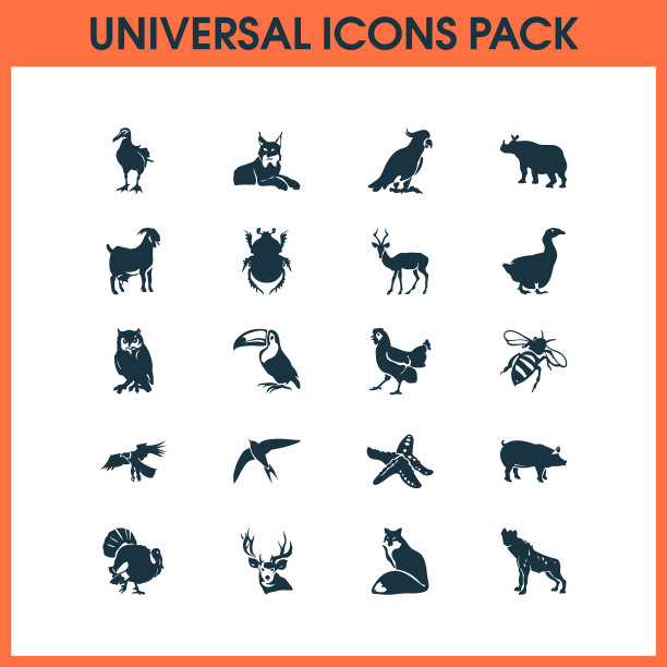 动物园图标设置与猫头鹰，海星，蜜蜂等图片下载