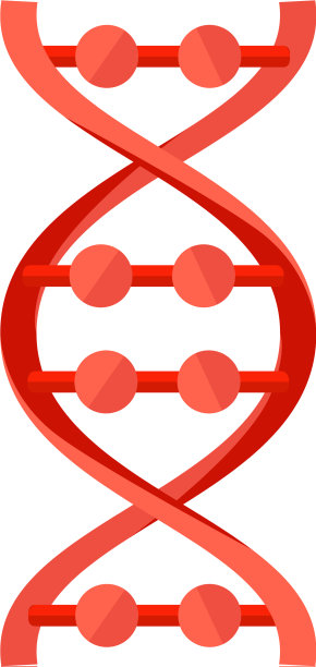 DNA分子标记遗传元素和图标图片下载