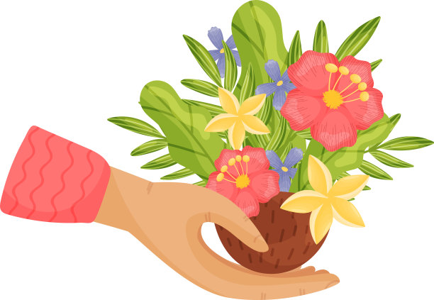 半个椰子里的花束图片下载