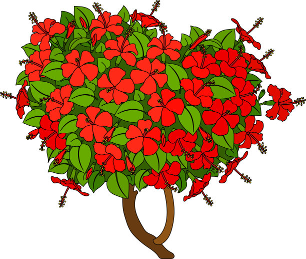 手绘植物剪贴画图片下载