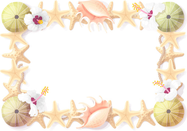 热带贝壳框架剪贴画图片下载