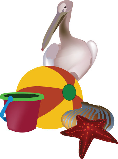 有桶球和贝壳的鹈鹕海图片下载