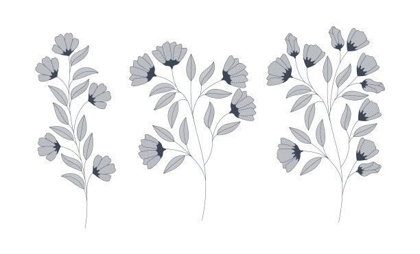 一套单色花图片下载