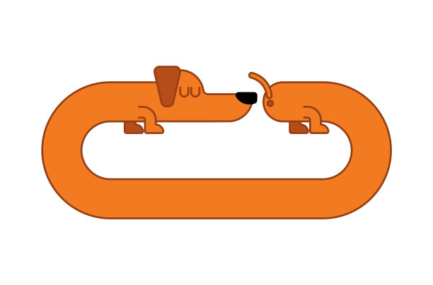 长狗腊肠犬孤立瘦弱的家宠物图片下载