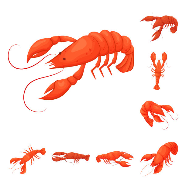 孤立对象虾和蟹的图标集图片下载