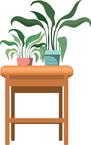 桌上有盆栽的室内植物图片下载