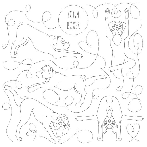 瑜伽狗姿势和练习拳击狗clipart图片下载