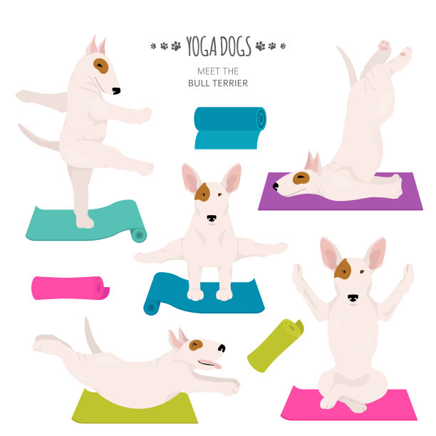 瑜伽狗姿势和练习斗牛梗clipart图片下载
