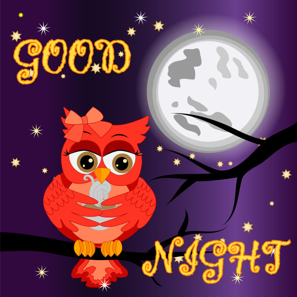 带着月亮和可爱猫头鹰的晚安卡片图片下载