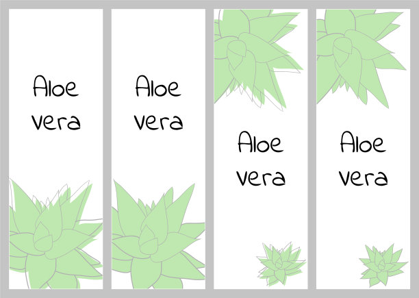 垂直条幅模板与芦荟植物图片下载