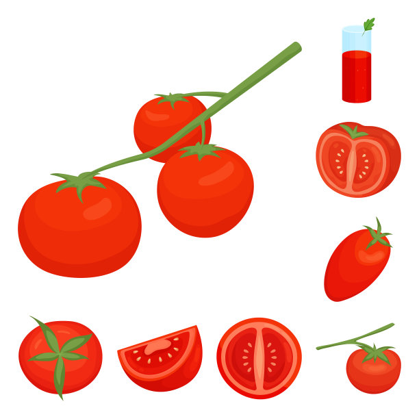 孤立对象有机和食品标志集图片下载