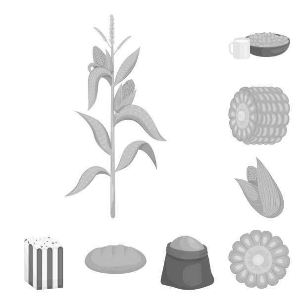 农业和营养图片下载