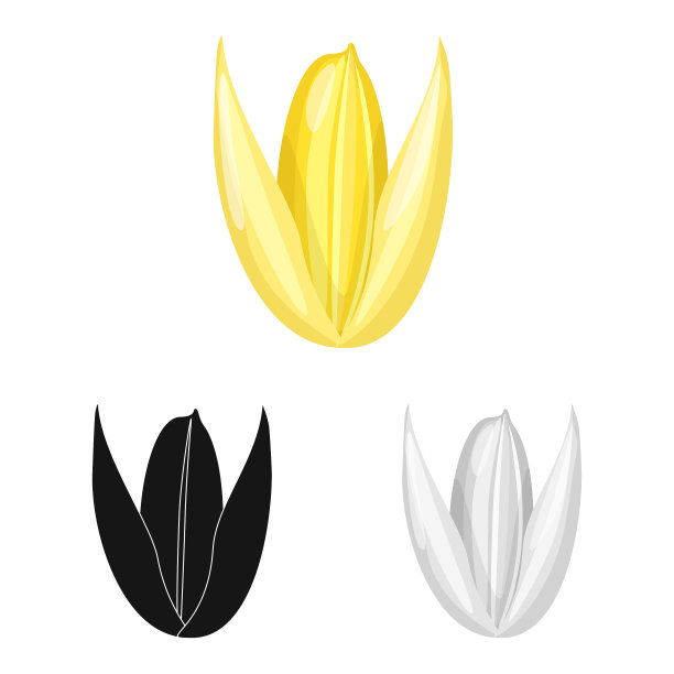 孤立对象谷粒和稻谷符号集的图片下载