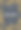 宠物护理家的动物横幅上有猫或狗图片下载