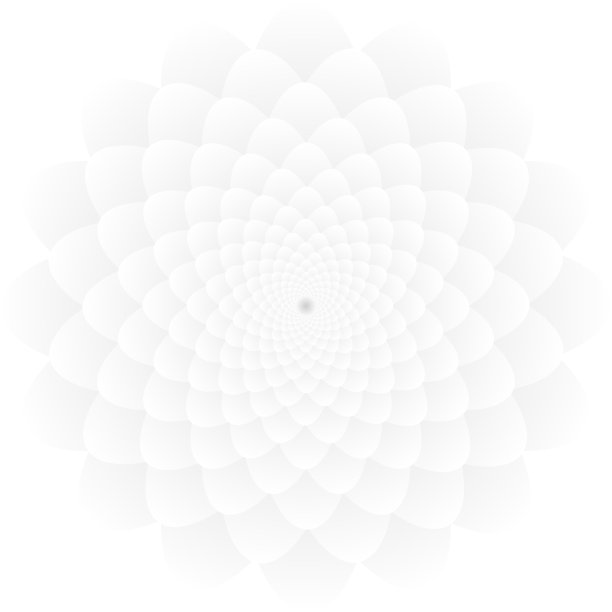 白花图案纹理背景图片下载