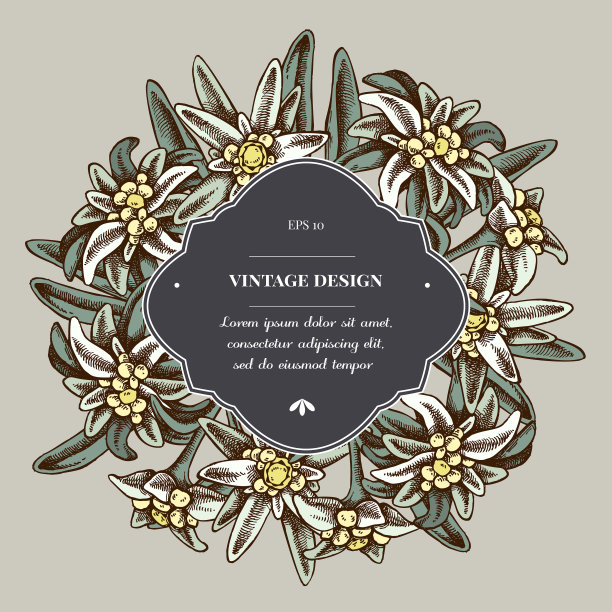 徽章超过设计与雪绒花图片下载