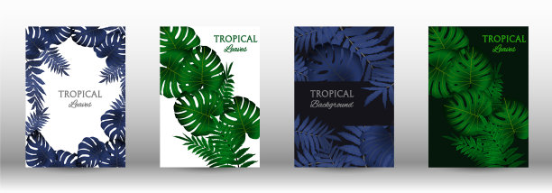 一套热带图片下载