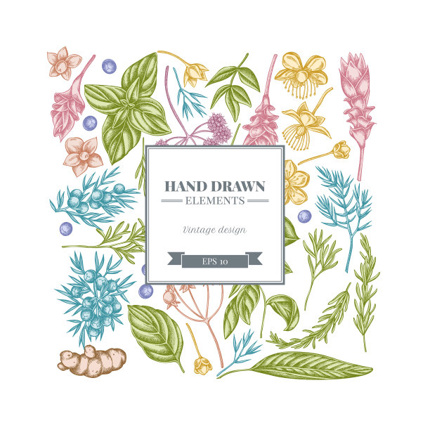 方形花设计与柔和的当归罗勒图片下载