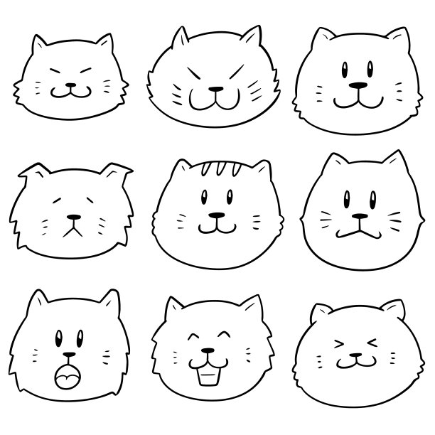 猫脸合集图片下载