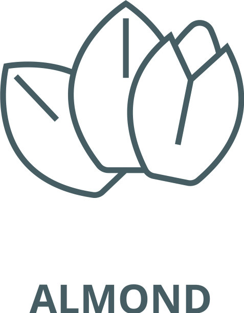 杏仁线图标杏仁轮廓标志图片下载