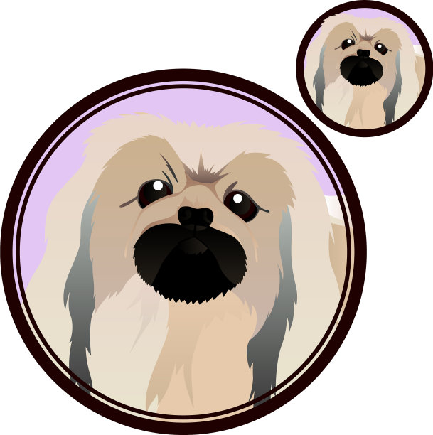 北京犬种头部呈圆形图片下载