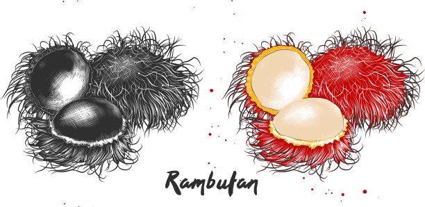 雕刻风格的海报装饰包装图片下载
