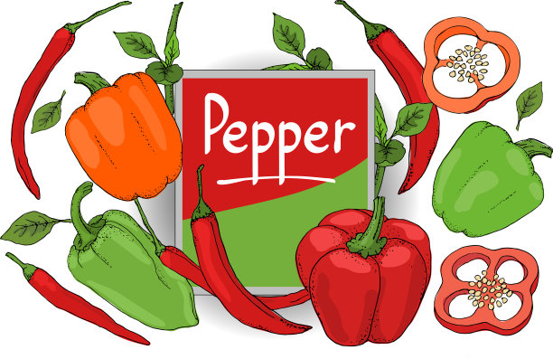 用红、绿、橙辣椒调味图片下载