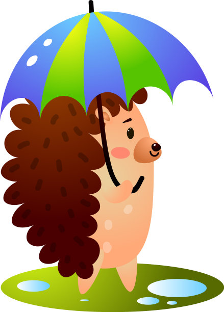 可爱的刺猬正在风雨后散步图片下载