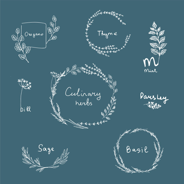 烹饪药草集图片下载