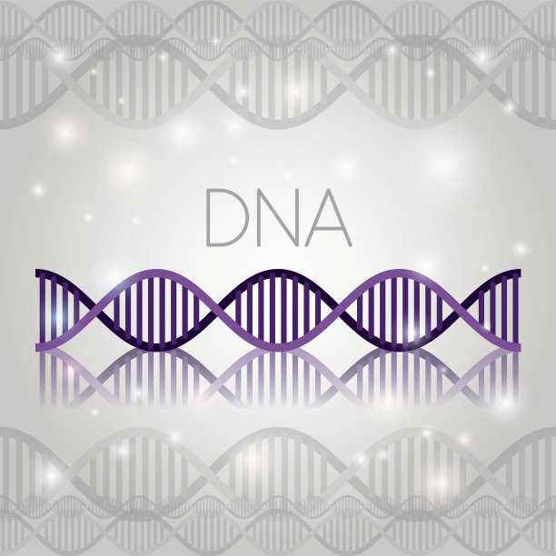 DNA分子的线状结构模式图片下载