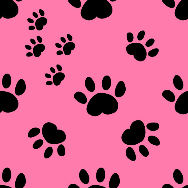 动物的爪子模式图片下载