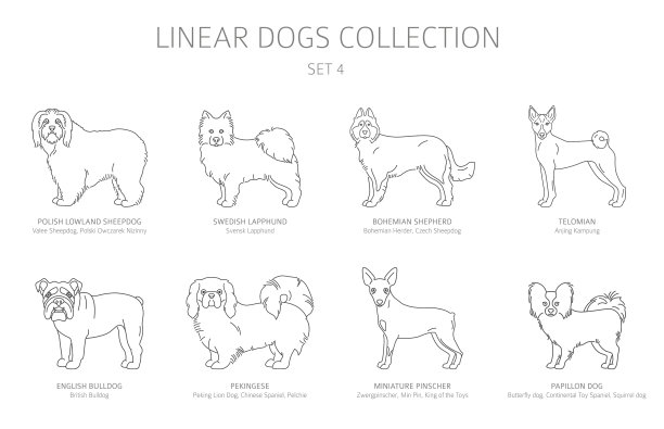 简单线狗收集孤立上白狗图片下载