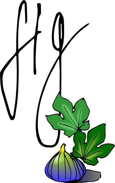 无花果带叶果实图片下载