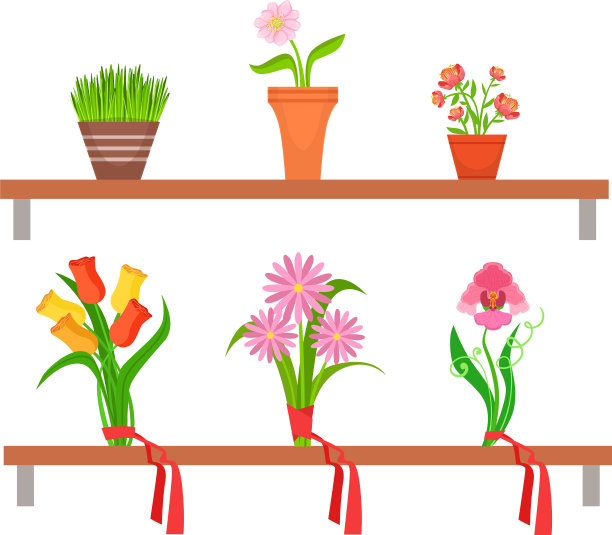 收集室内盆栽和花束图片下载