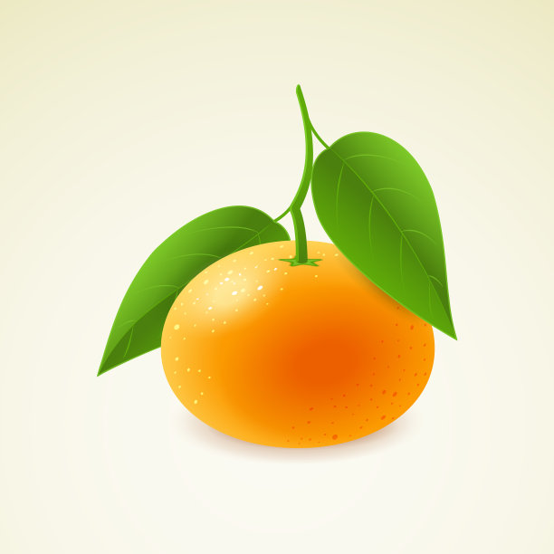 橘色，叶子在背景上孤立图片下载