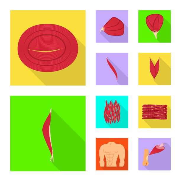 孤立物体肌肉和细胞标志集图片下载