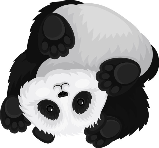 滑稽的熊猫倒挂着毛绒绒的竹子熊图片下载