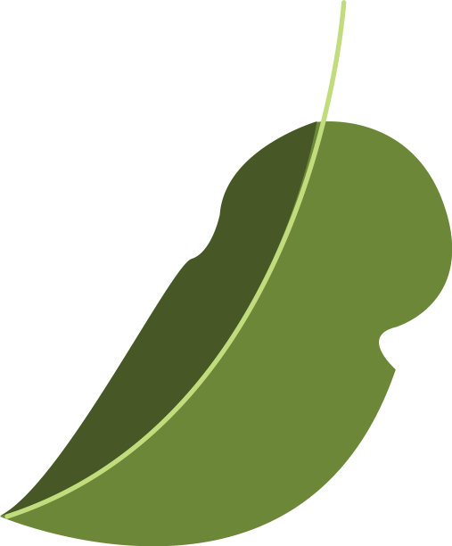 秋叶植物季节性孤立的标志图片下载