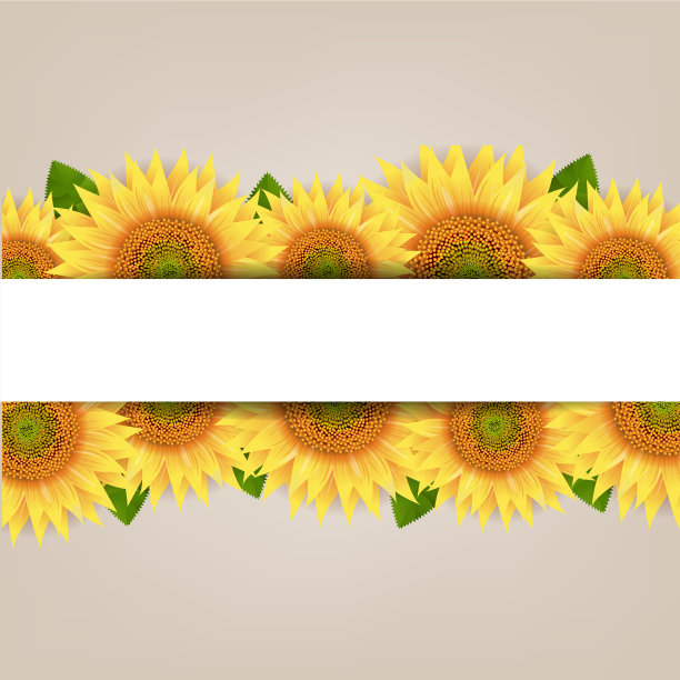 向日葵边纸横幅图片下载