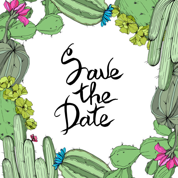 绿色仙人掌花，植物花图片下载