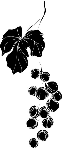 黑莓健康食品图片下载