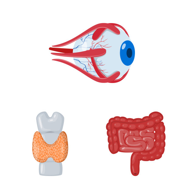 设计解剖和器官标志集图片下载