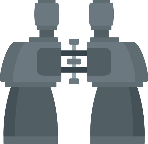 金属双目图标平面风格图片下载