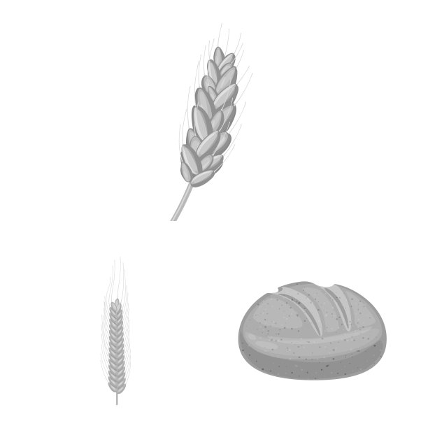 黑麦和植物图标集图片下载